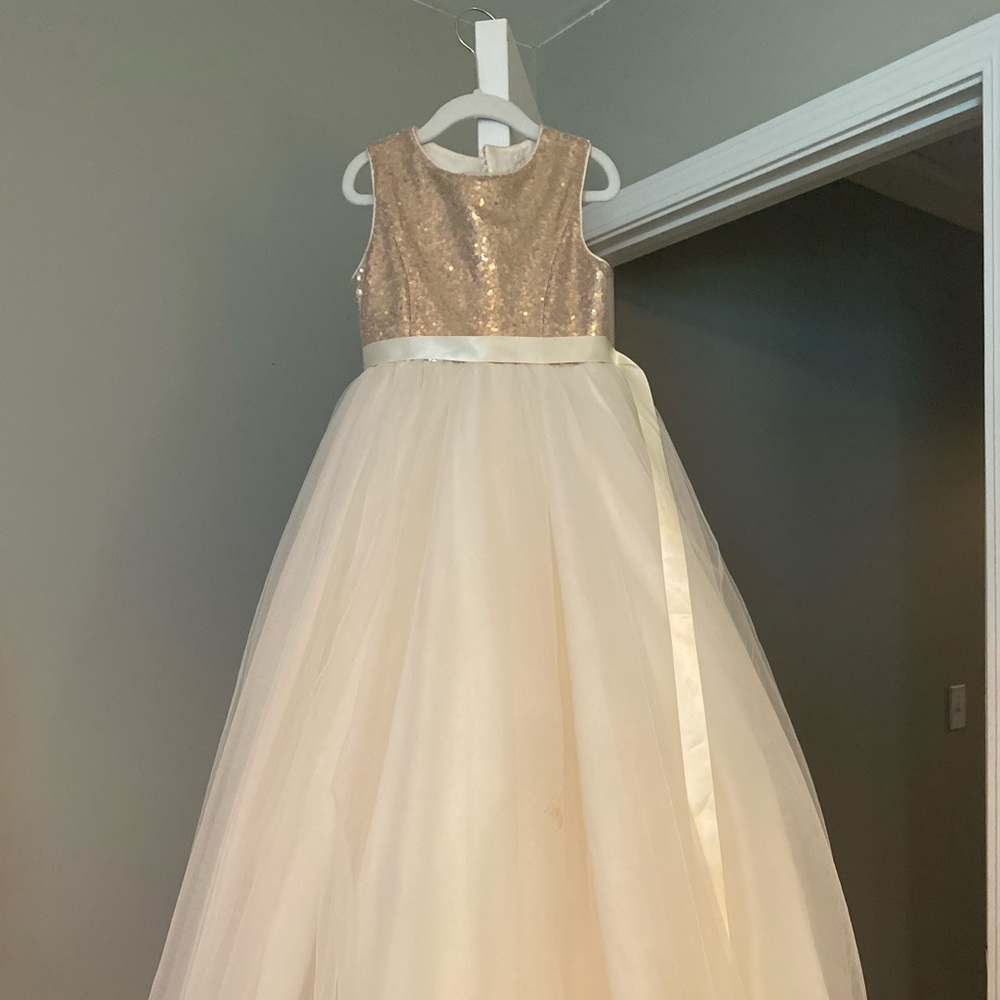 David’s Bridal Flower Girl dress
